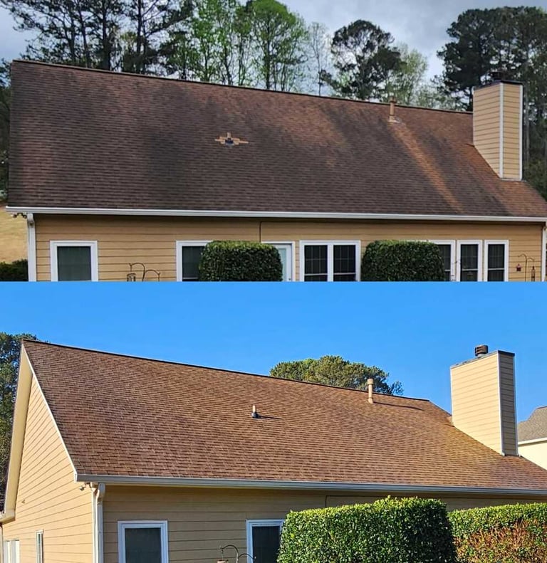 Roof Cleaning Service in New Port Richey, FL