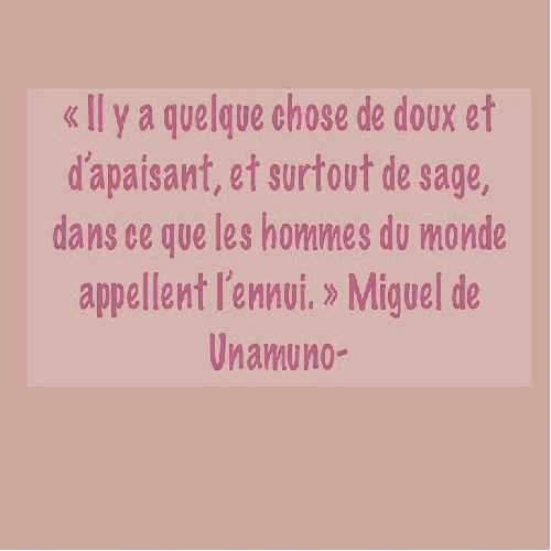 Citation pour favoriser la pratique de l'ennui