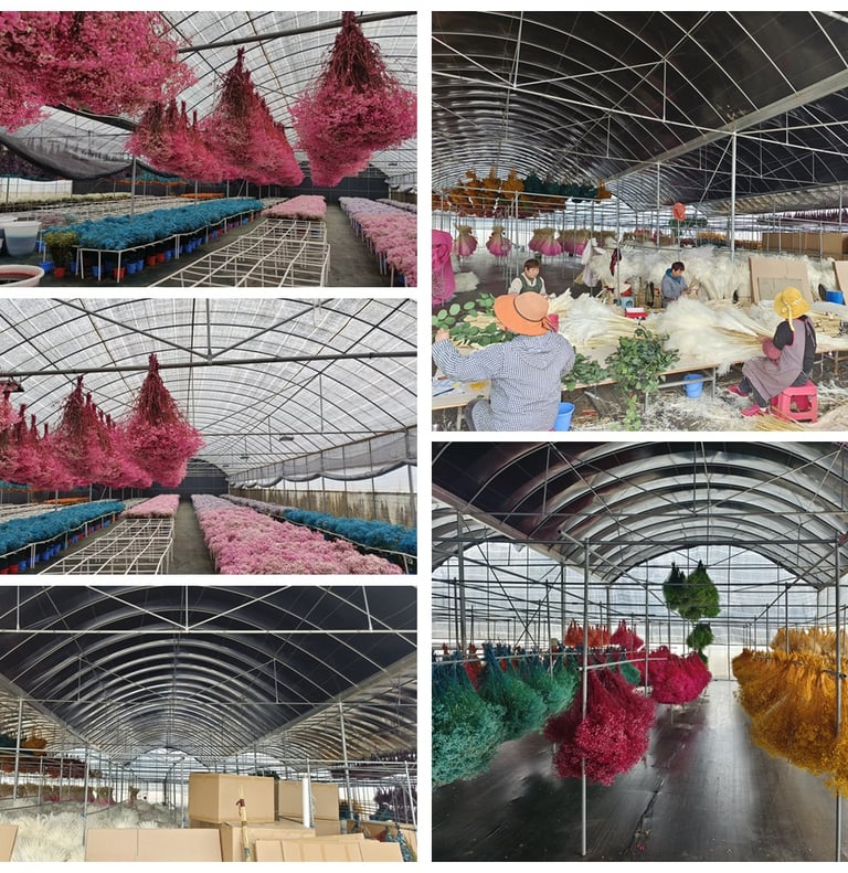 Preserved Flower Factory