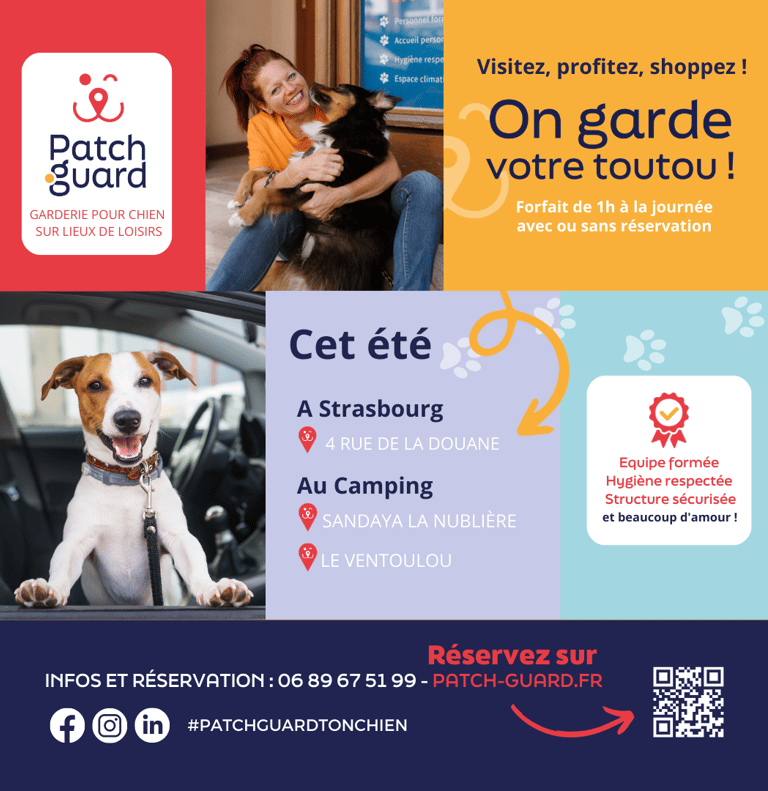 les informations patch guard : a strasbourg 4 rue de la douane et au camping annecy et lot- strasdog