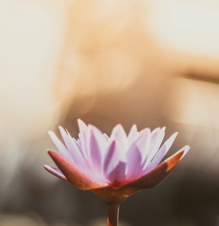 A mindful purple flower with the Grateful Minds Logo