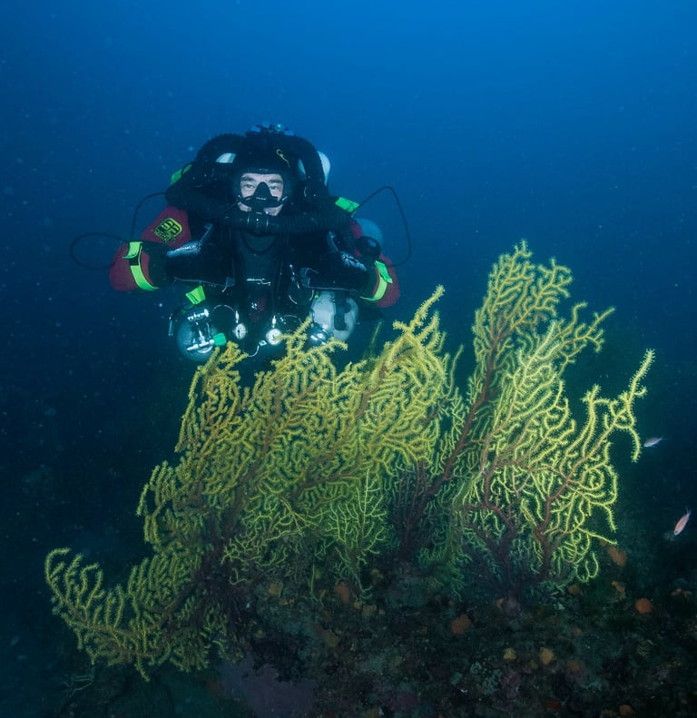 formation eccr libety et ccr sidemount
