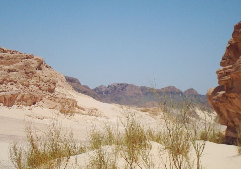 eine Wüstenszene mit einem Berg im Hintergrund