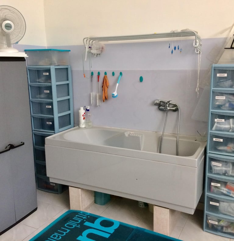 Vasca per tosatura animali