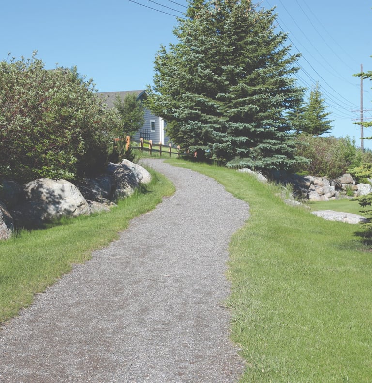 a paved path leading to a grassy area with trees