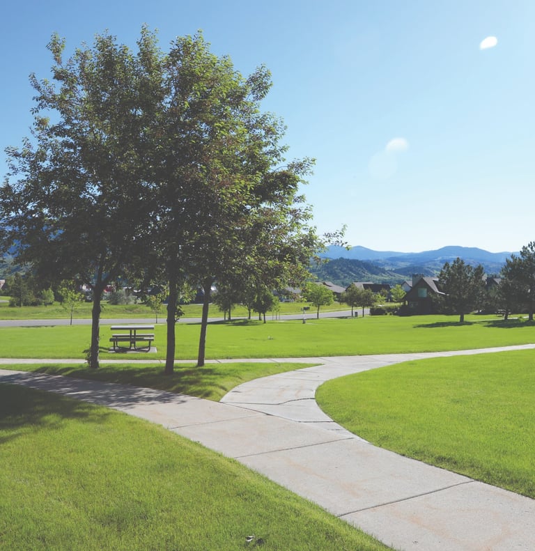 a park bench and a bench in a grassy area