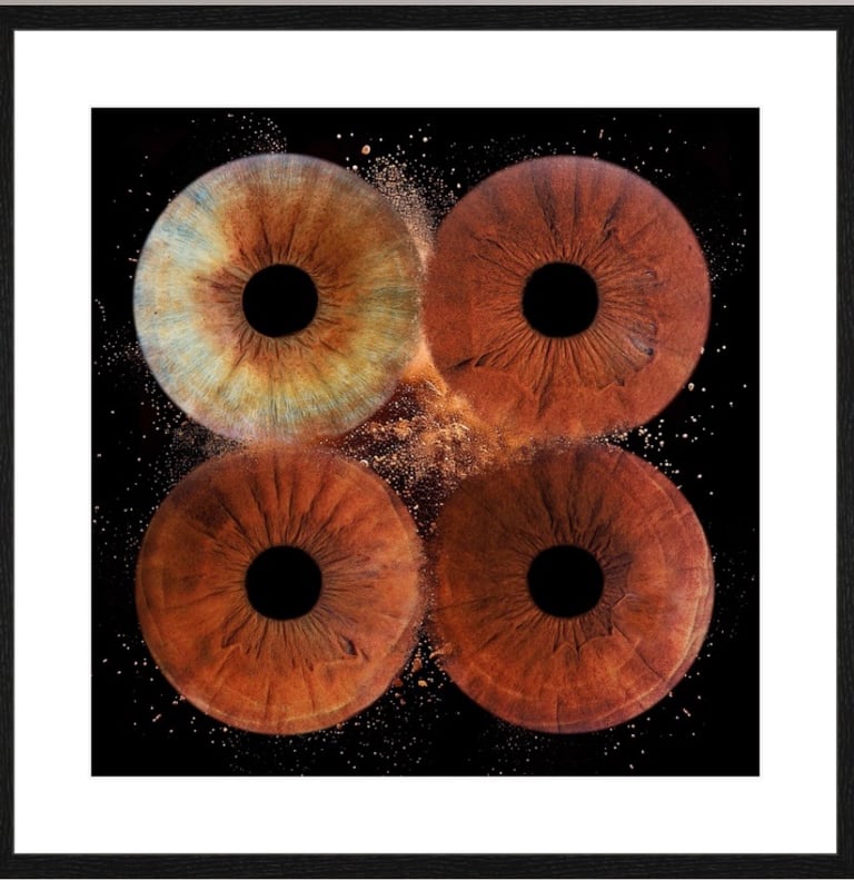 Tirage photo de quatre iris en percussion poussière avec un cadre noir