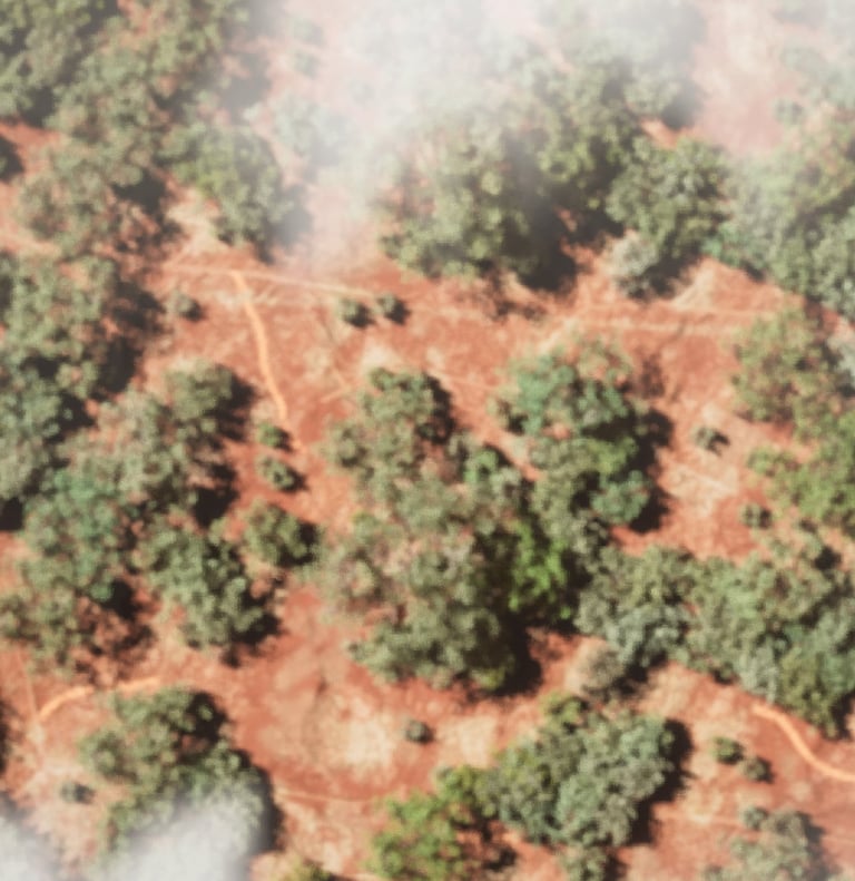 Birds Eye View Savanna
