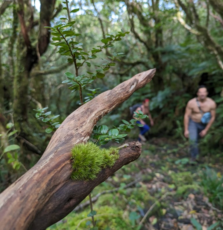 men hiking together on a retreat, photo Yoav goldwein