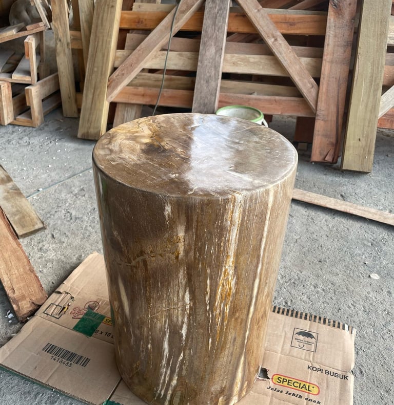 Arcanum Petrified Wood