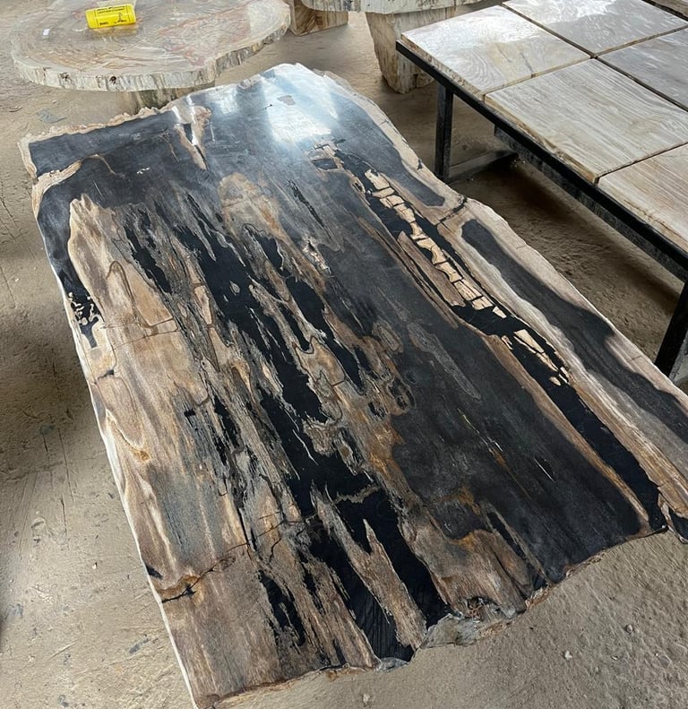 Arcanum Petrified wood