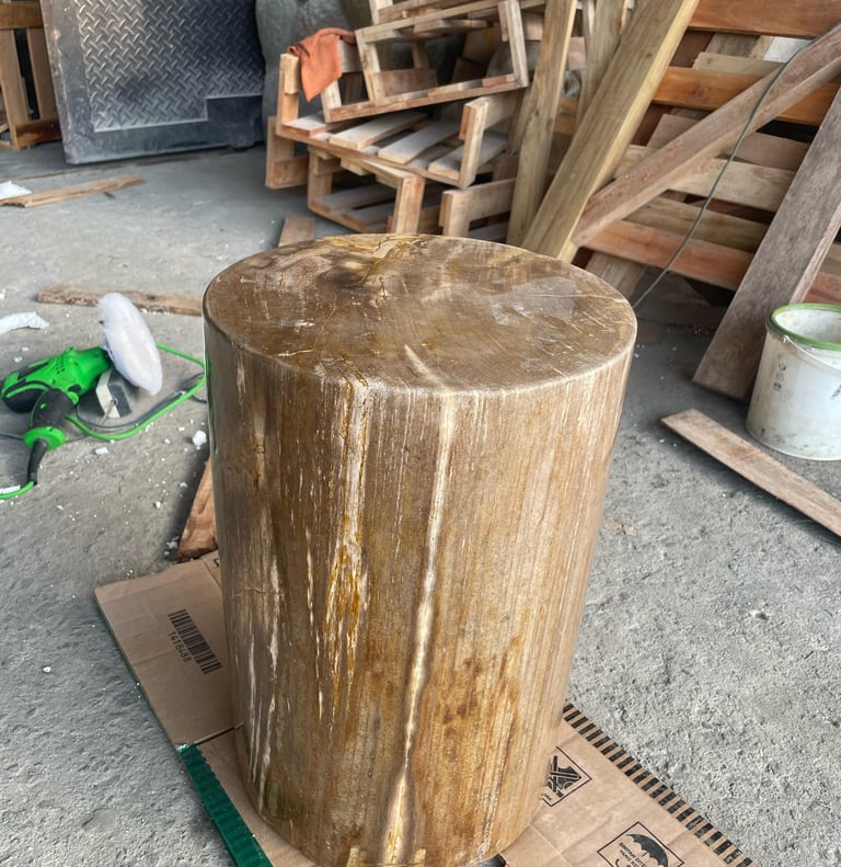 Arcanum Petrified wood