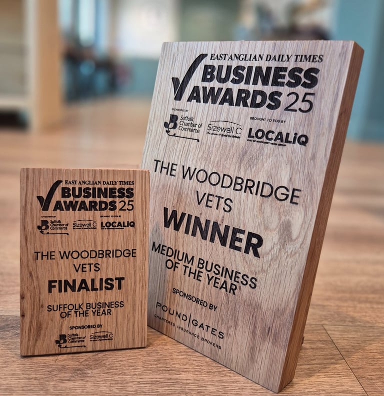 EADT Business Awards - The Woodbridge Vets - Reason Marketing Marketing Consultant