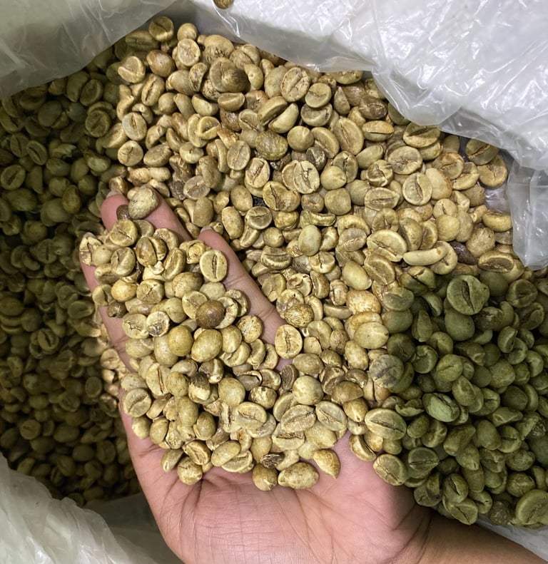 Green Bean Robusta Temanggung
