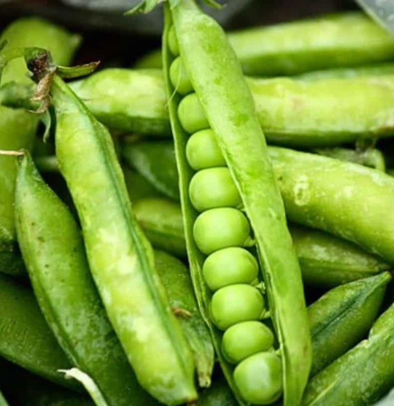 Premium Egyptian Fresh Peas for Export - HS Code 070810