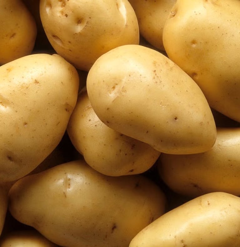 Premium Egyptian Fresh Potato for Export - HS Code 070190