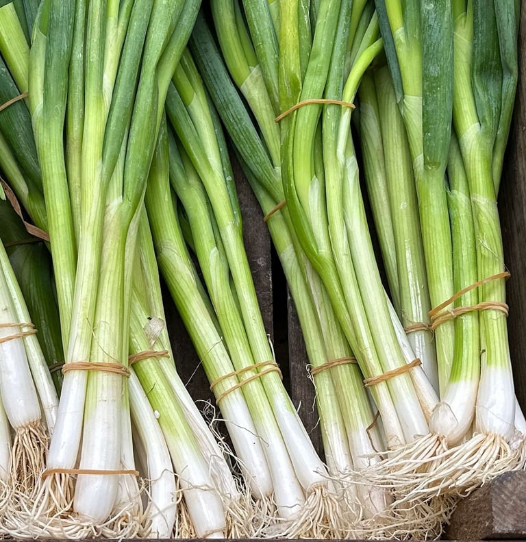 .Import Egyptian Fresh Spring onion - HS Code 070310