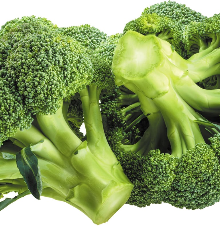 Premium Egyptian Fresh Broccoli for Export - HS Code 070410