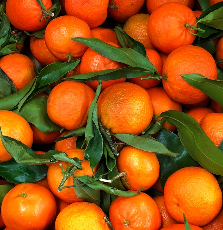 Premium Egyptian Fresh Clementine for Export - HS Code 080521