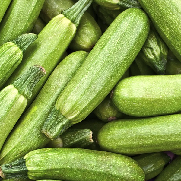 Premium Egyptian Fresh Courgette for Export - HS Code 070993
