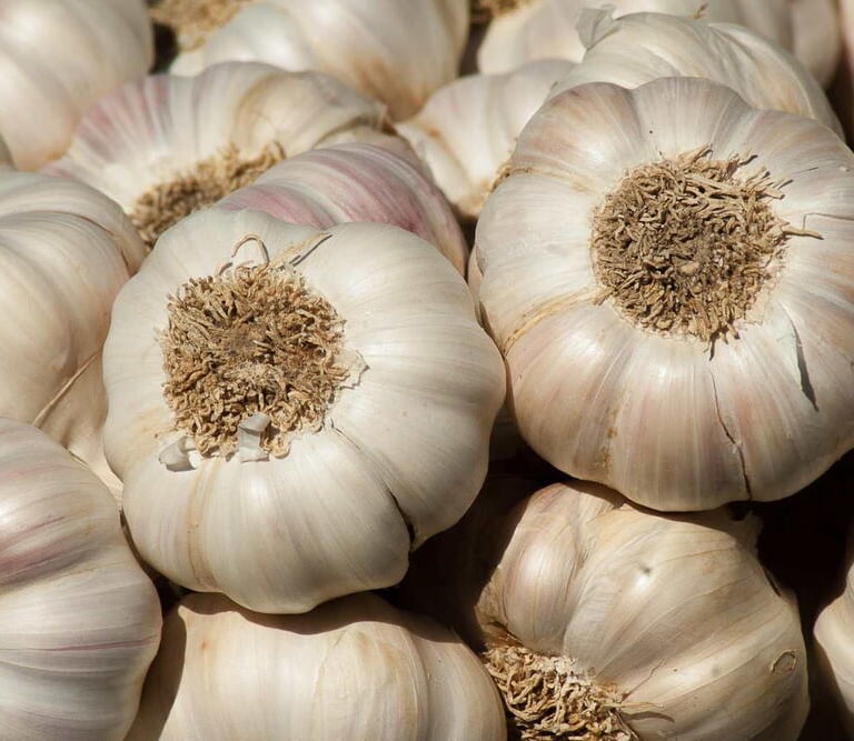 Premium Egyptian Fresh Garlic for Export - HS Code 070320