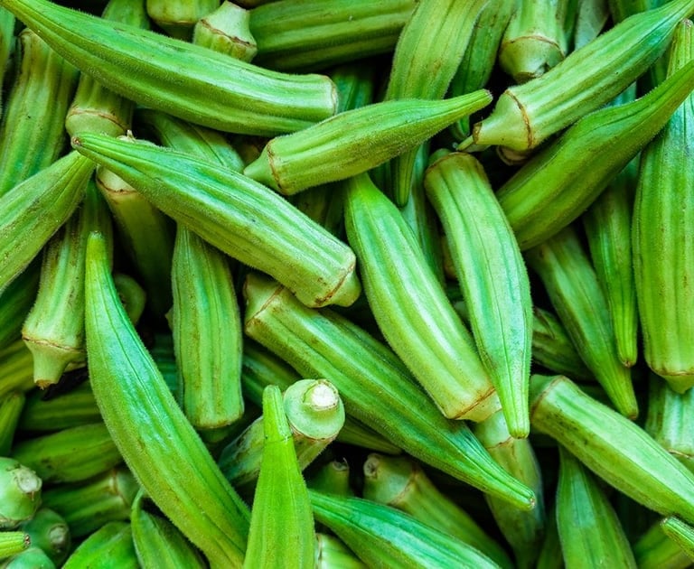 Import Egyptian Fresh Okra - HS Code 070999