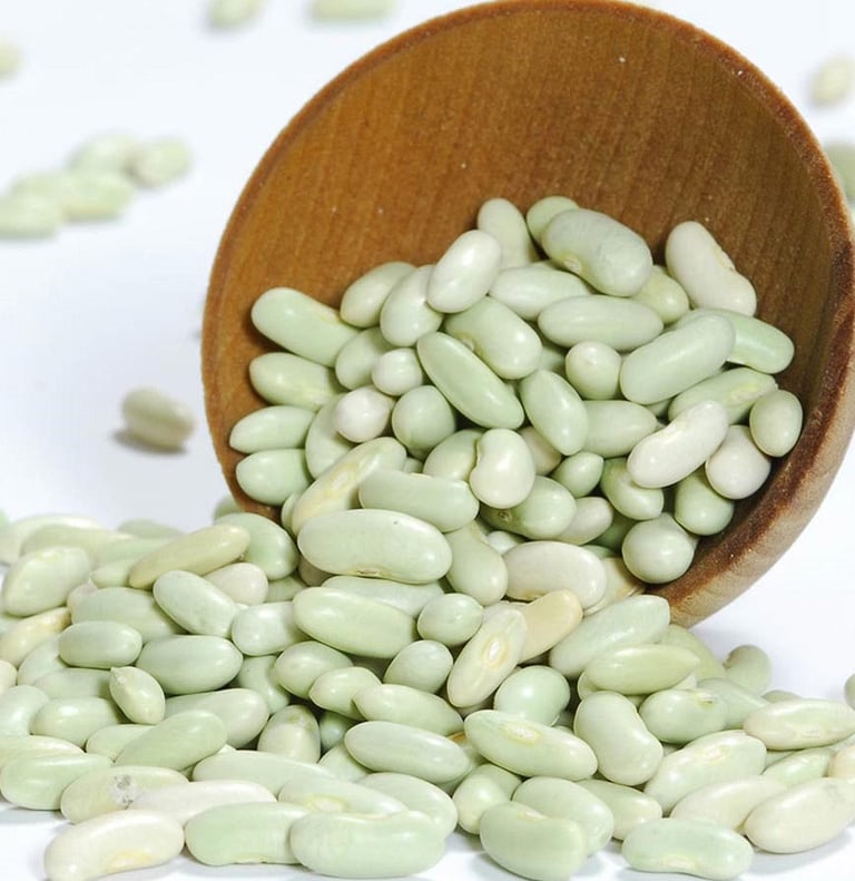 Premium Egyptian White Beans for Export - HS Code 071333