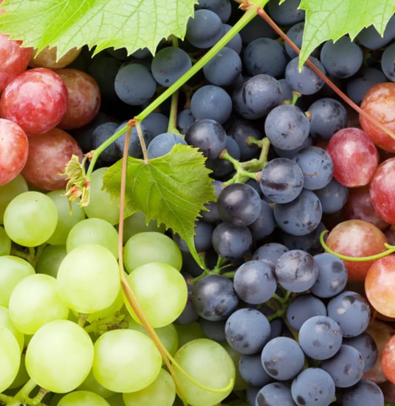 Premium Egyptian Fresh Grapes for Export - HS Code 080610