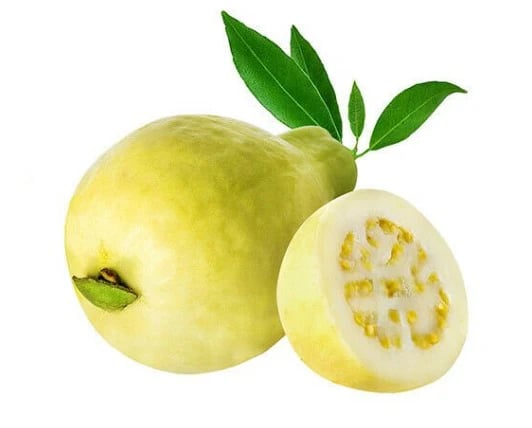 Premium Egyptian Fresh Guava for Export - HS Code 080450