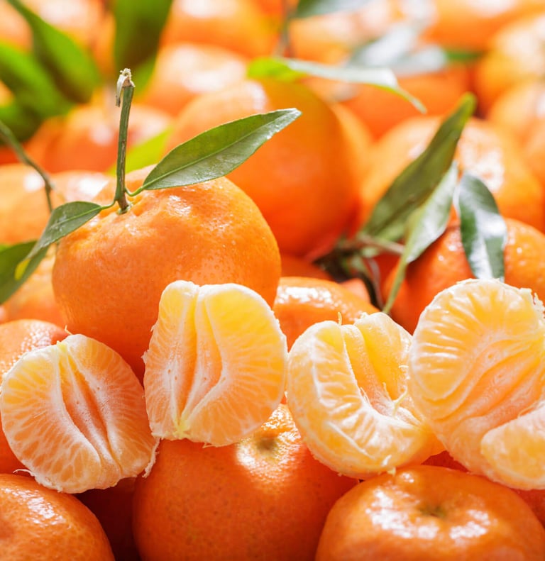 Premium Egyptian Fresh Mandarin for Export - HS Code 080521