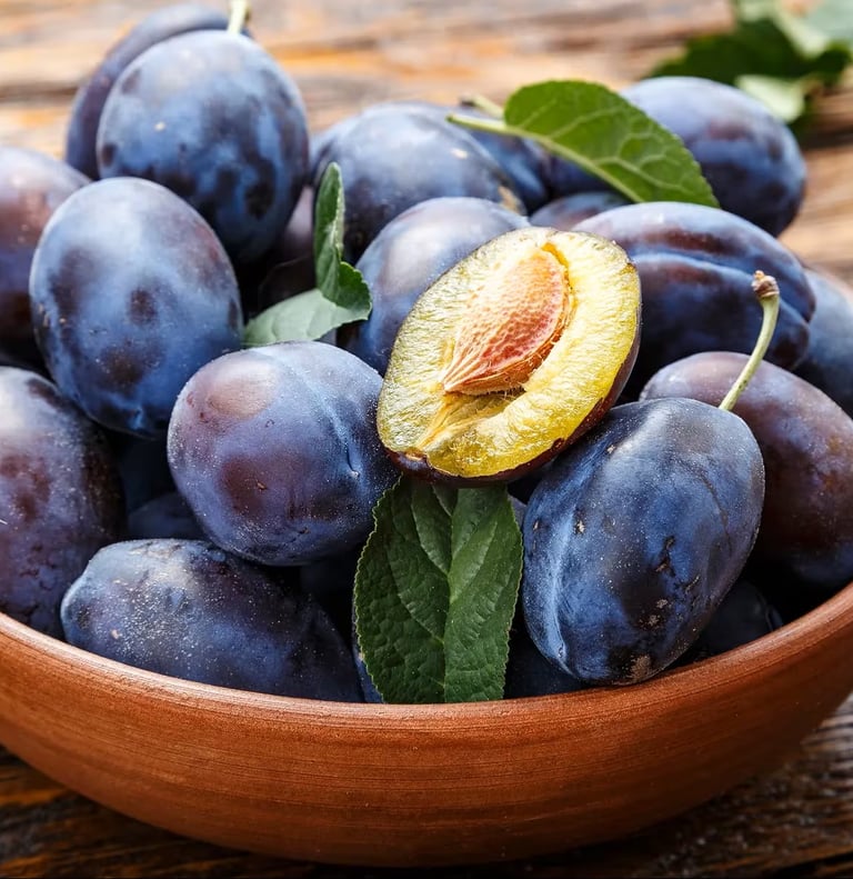 Premium Egyptian Fresh Plums for Export - HS Code 080940