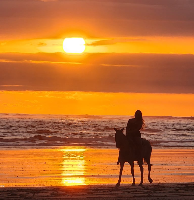 horseback riding in Santa Teresa Beach