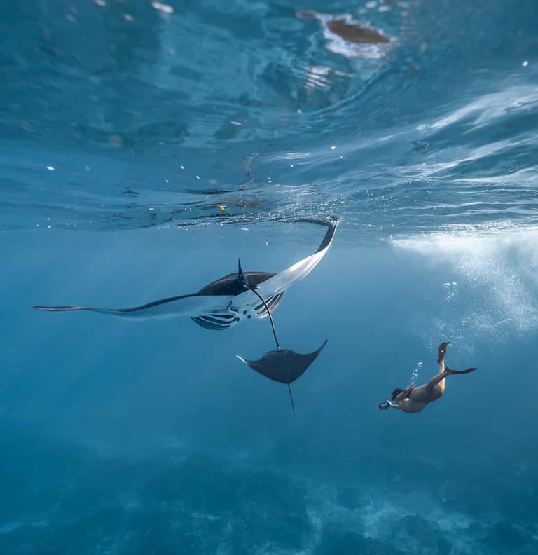 Snorkeling