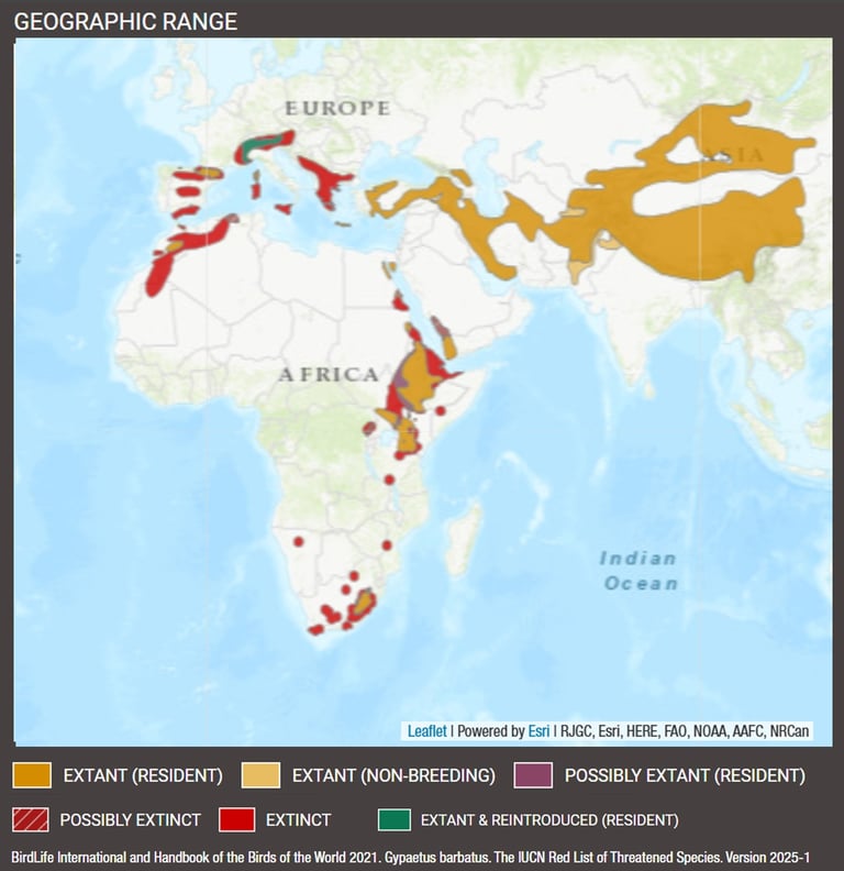 bearded vulture distribution Map-IUCN