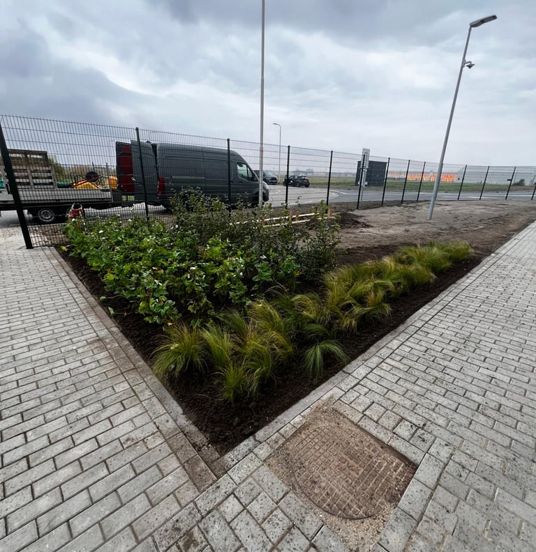 Bedrijfstuin Dinteloord