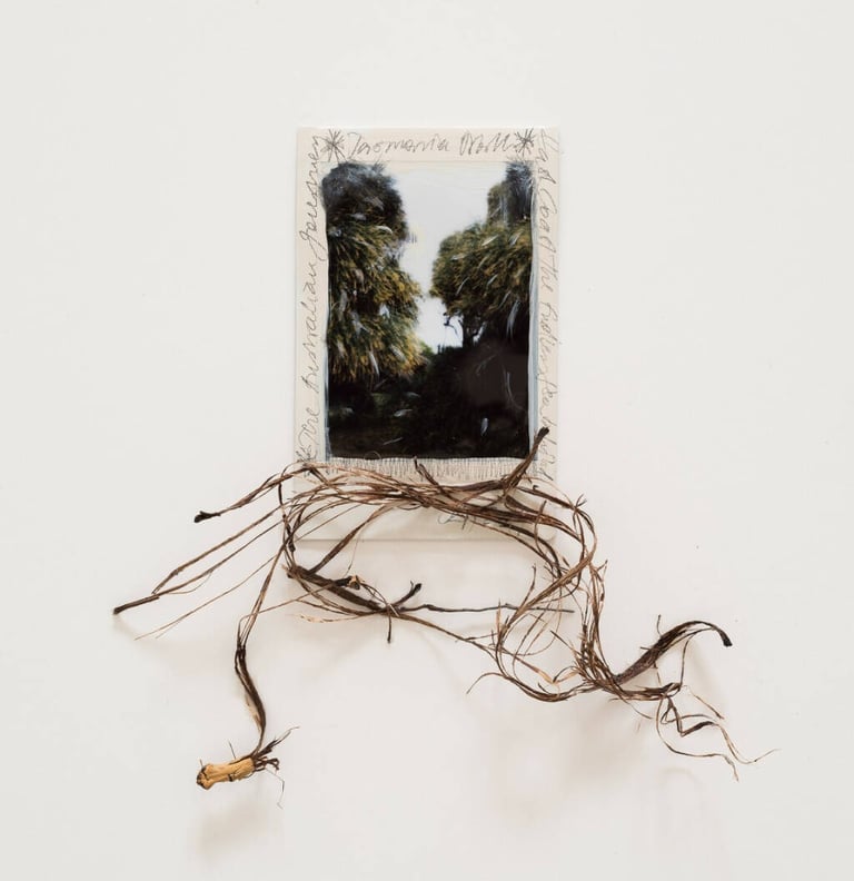 The Australian Journey (Native Grounds) 15, 2024 ©Regina Anzenberger