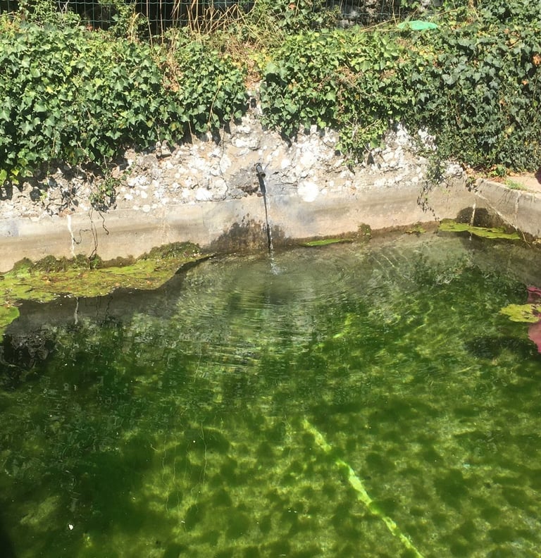 fontaine avec eau qui coule