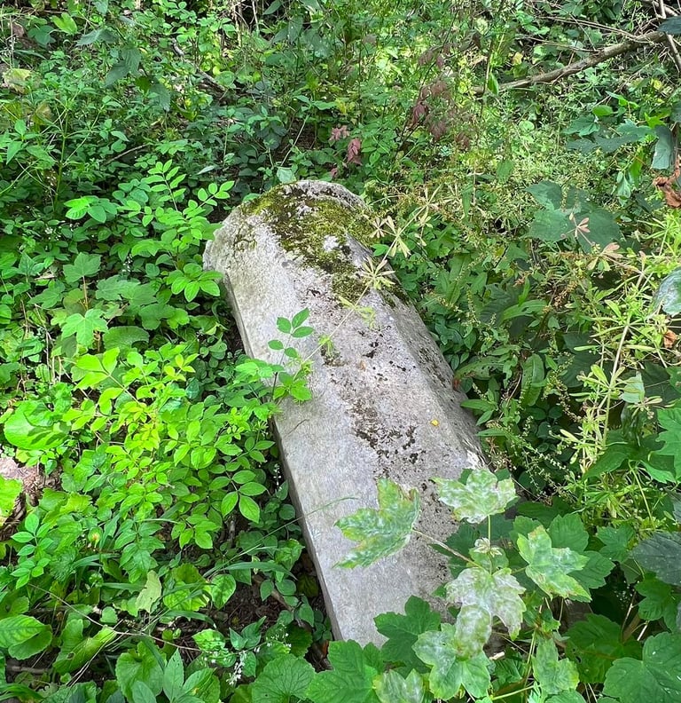 Afgebroken zuil, bedekt met bladeren en omringd door planten en bosgrond.