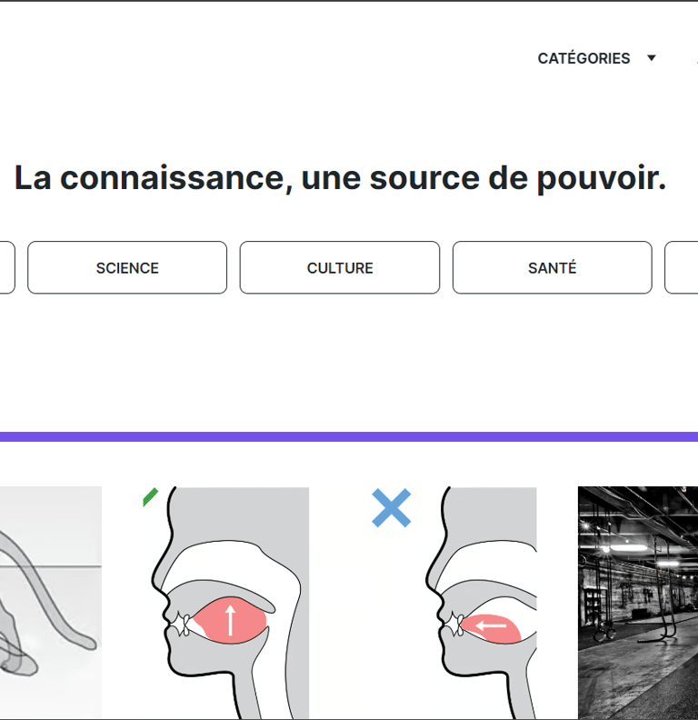 Knowledge site web
