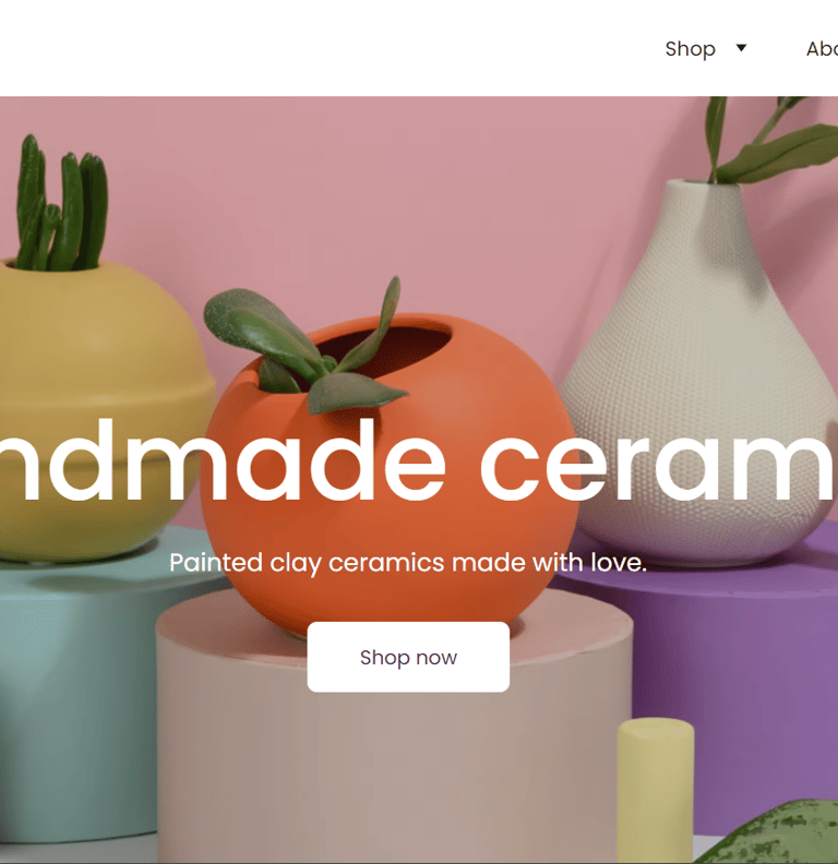 RT SHOP site web