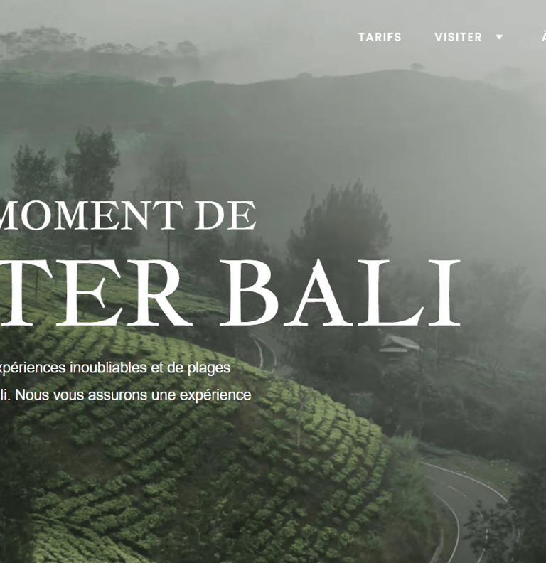 Travel site web