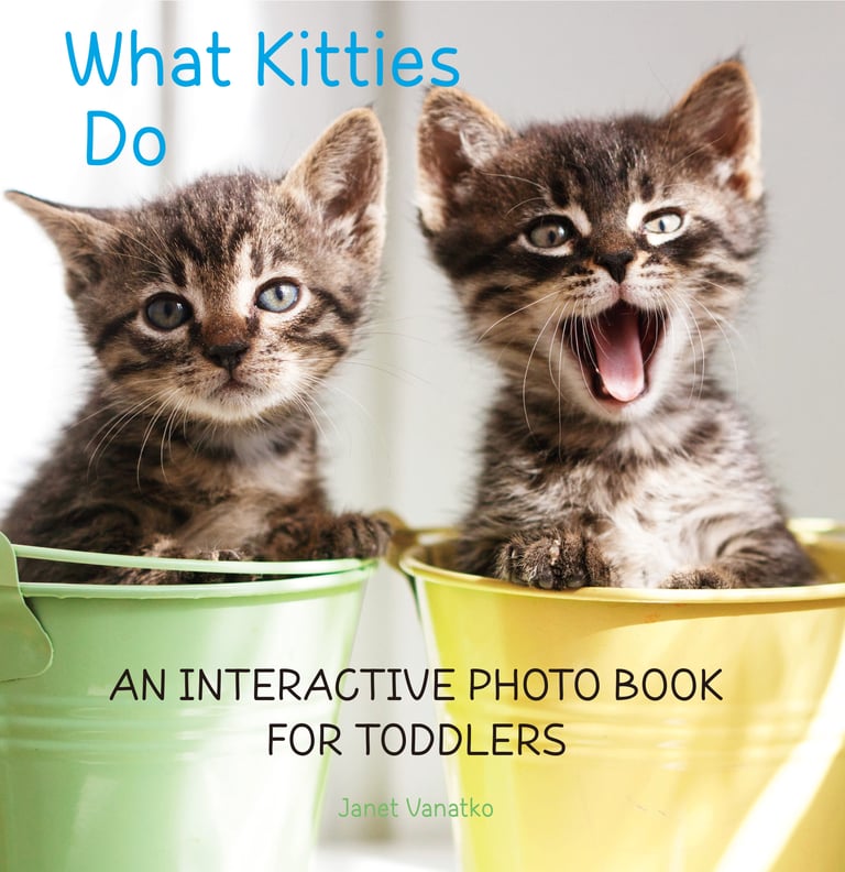 kittens sitting in buckets