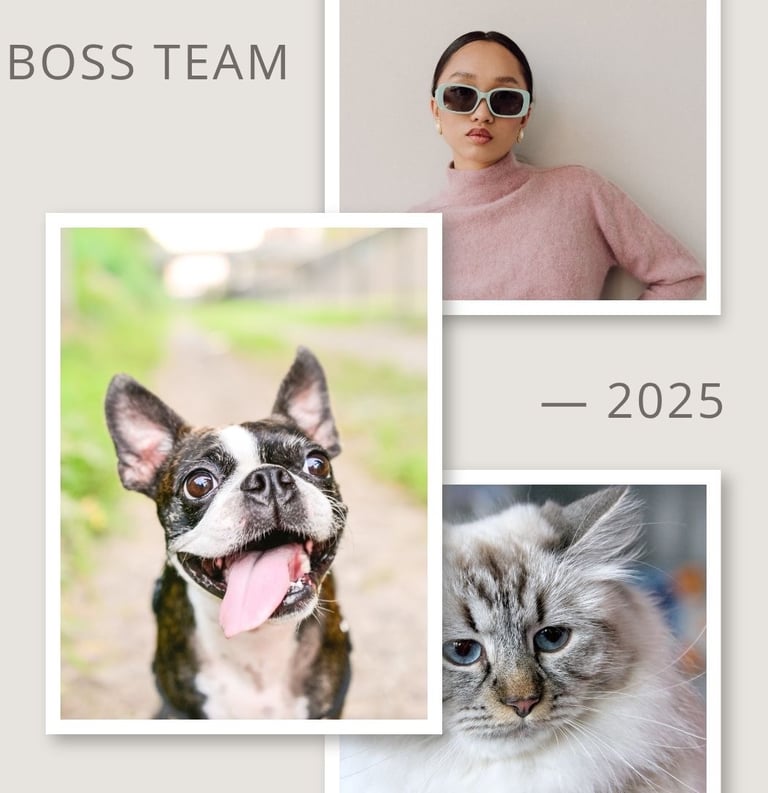 Boss Team