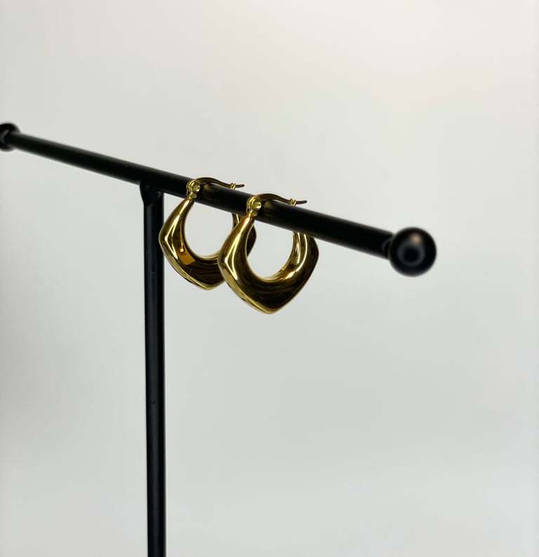 a pair of earrings with a gold hoop earrings