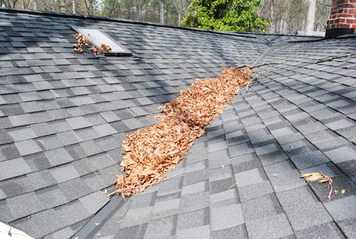 debris on roof that can cause damage