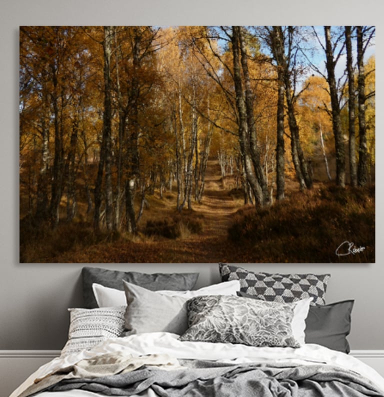 Canvas Print on wall above a double bed with pillows and a Duvet cover on it.