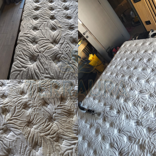 terraura yatak yıkama antalya