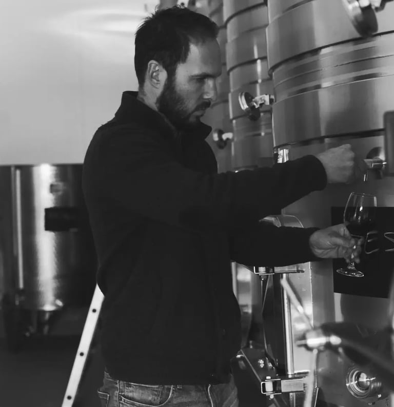 hombre sirviendo vino de bodega luisyana