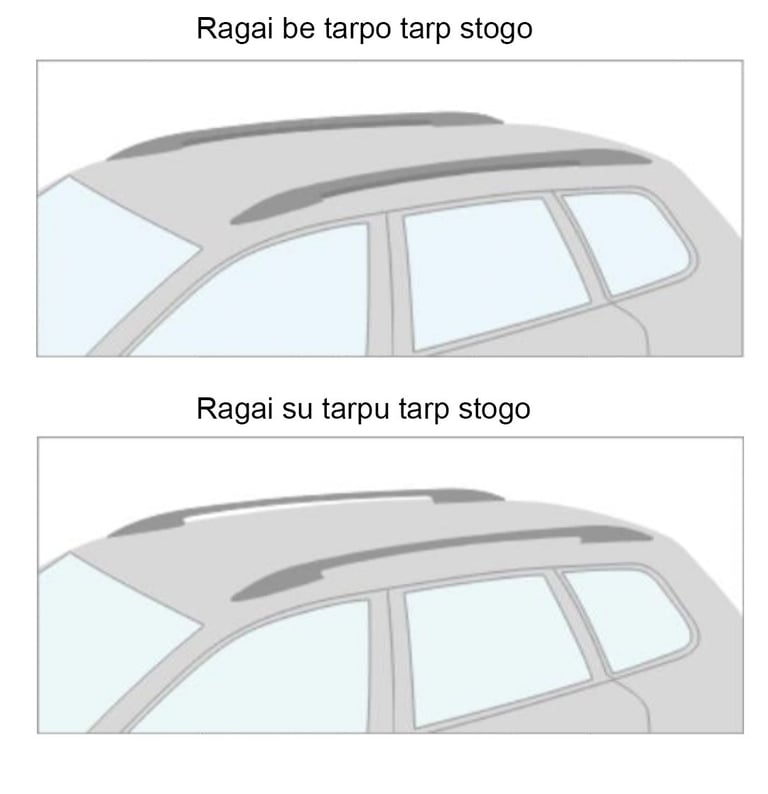 Stogo "ragų" tipai