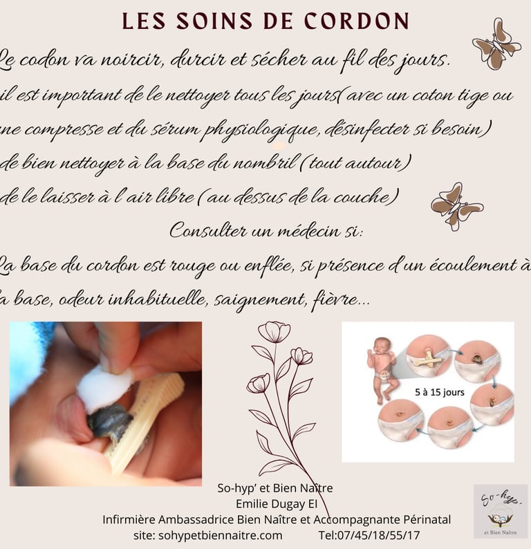 le cordon ombilical